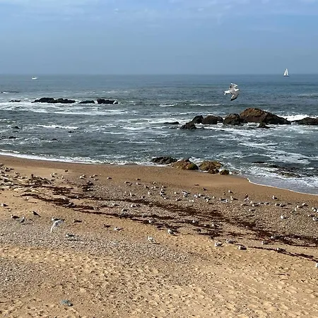 Porto De Matosinhos Апартаменты