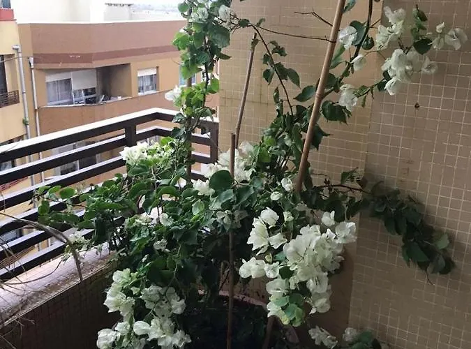 Porto De Apartamento *