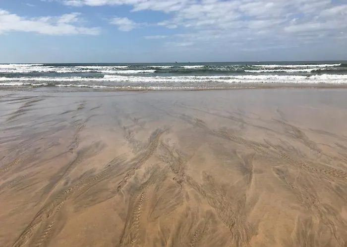 Porto De Apartamento Matosinhos (Porto)