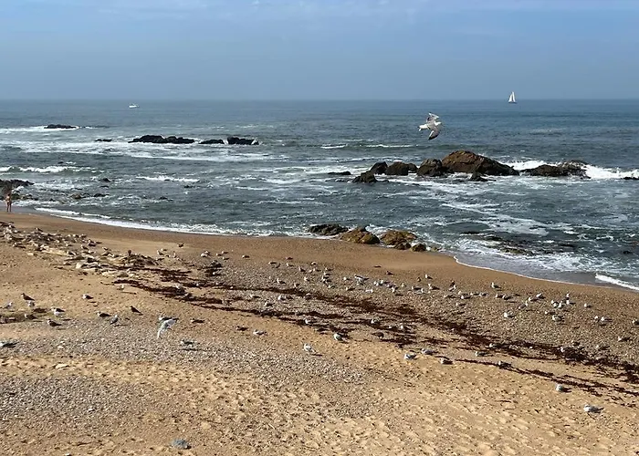 Porto De Apartamento