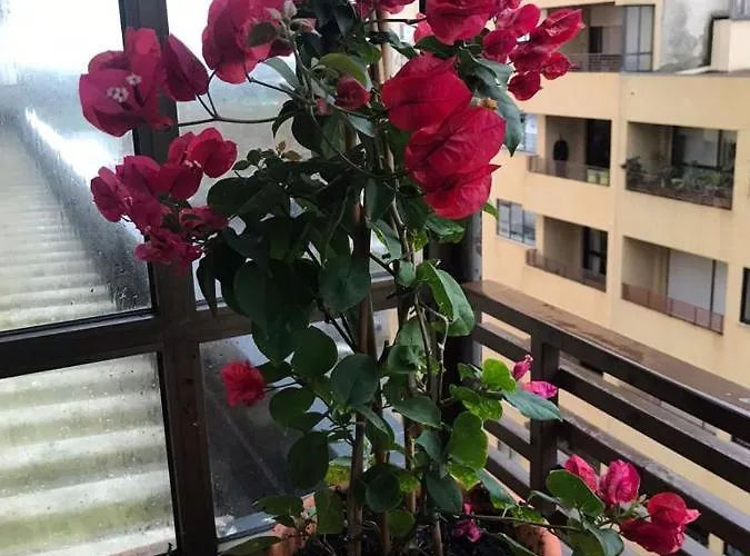 Apartamento Porto De *